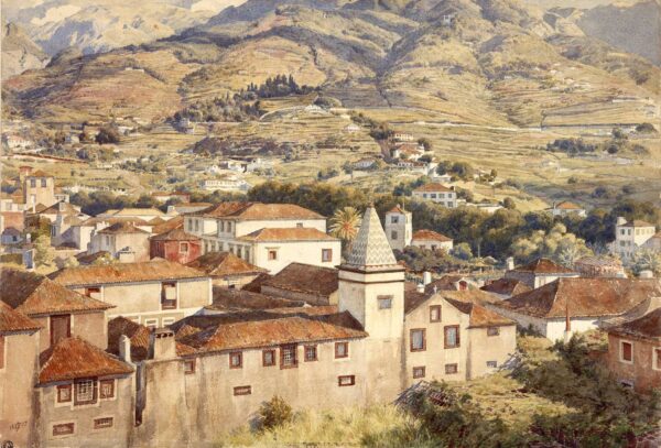 Funchal, sol de la mañana – Edward Poynter Edward Poynter 2024-11-21