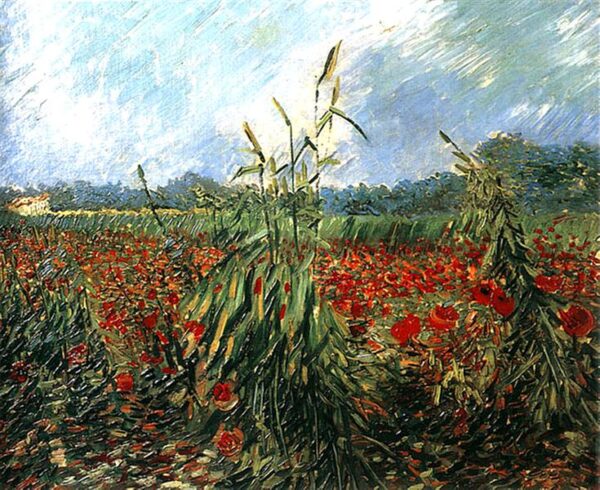 Espigas verdes de trigo – Van Gogh Vincent Van Gogh 2024-11-21