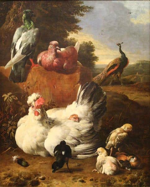 La gallina blanca – Melchior d’Hondecoeter Melchior d'Hondecoeter 2025-01-02