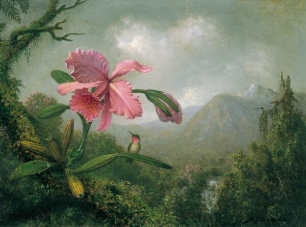 Orquídea y colibrí cerca de una cascada de montaña – Martin Johnson Heade Martin Johnson Heade 2024-11-21