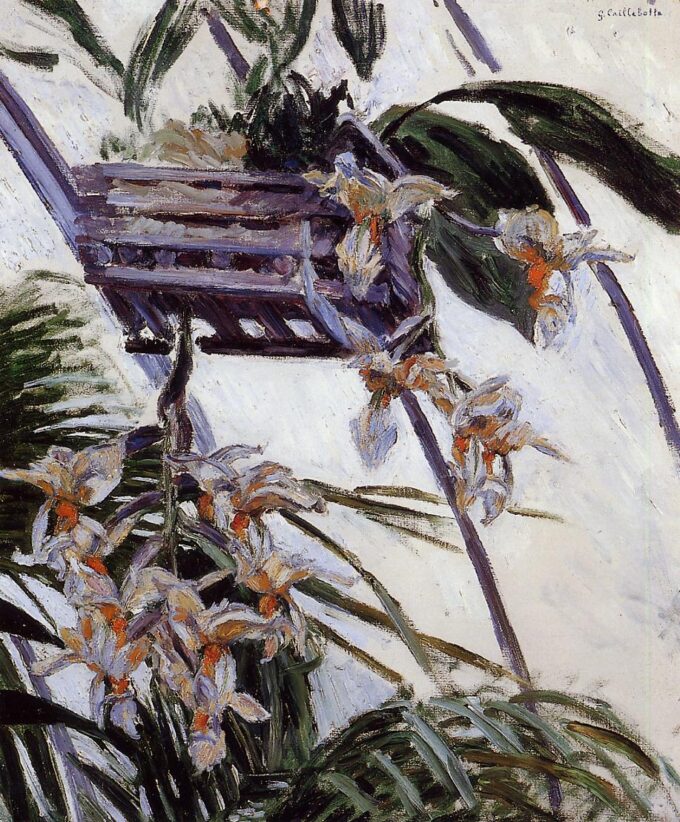 Orquídeas – Caillebotte Gustave Caillebotte 2024-09-20