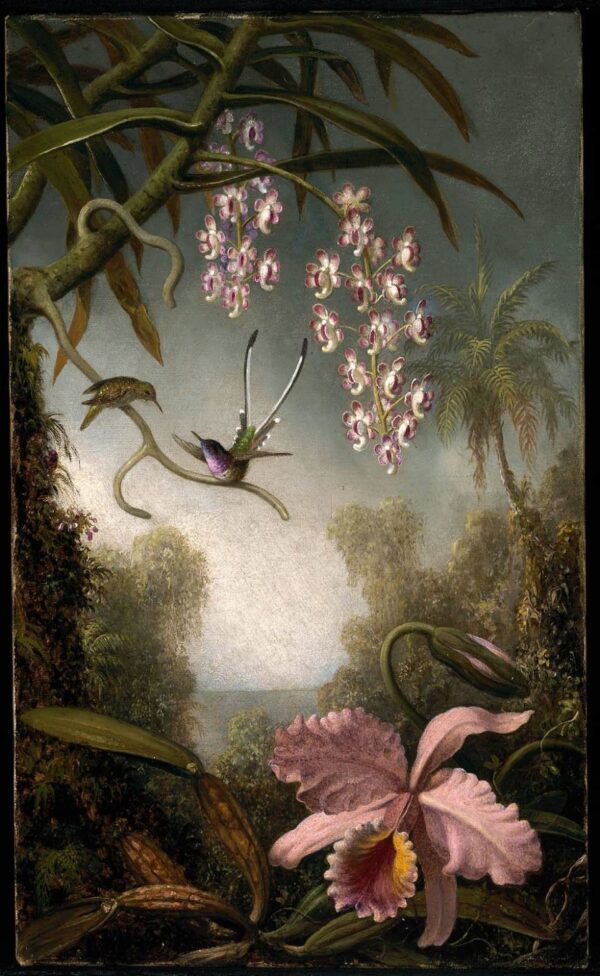 Orquídeas y Spray de Orquídeas con Colibrí – Martin Johnson Heade Martin Johnson Heade 2024-11-21