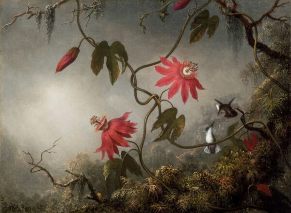 Las flores de la pasión con los colibríes – Martin Johnson Heade Martin Johnson Heade 2024-11-21