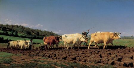 Arando en el Nivernais – Rosa Bonheur Rosa Bonheur 2024-12-27