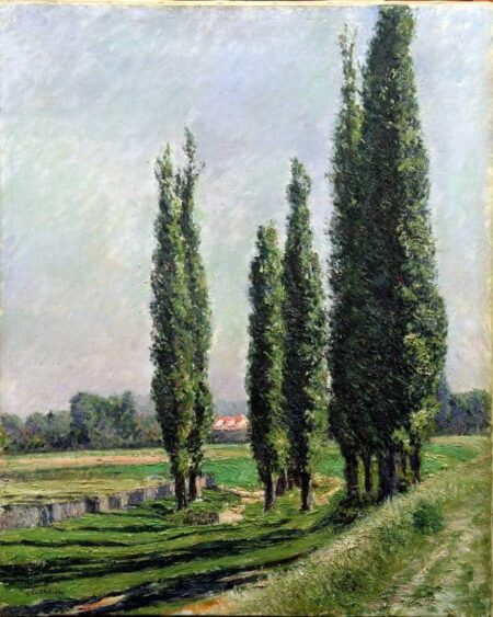 Álamos al borde del río en Argenteuil – Caillebotte Gustave Caillebotte 2024-12-22