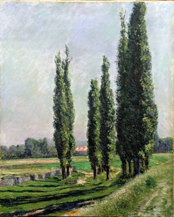 Álamos al borde del río en Argenteuil – Caillebotte Gustave Caillebotte 2024-11-21