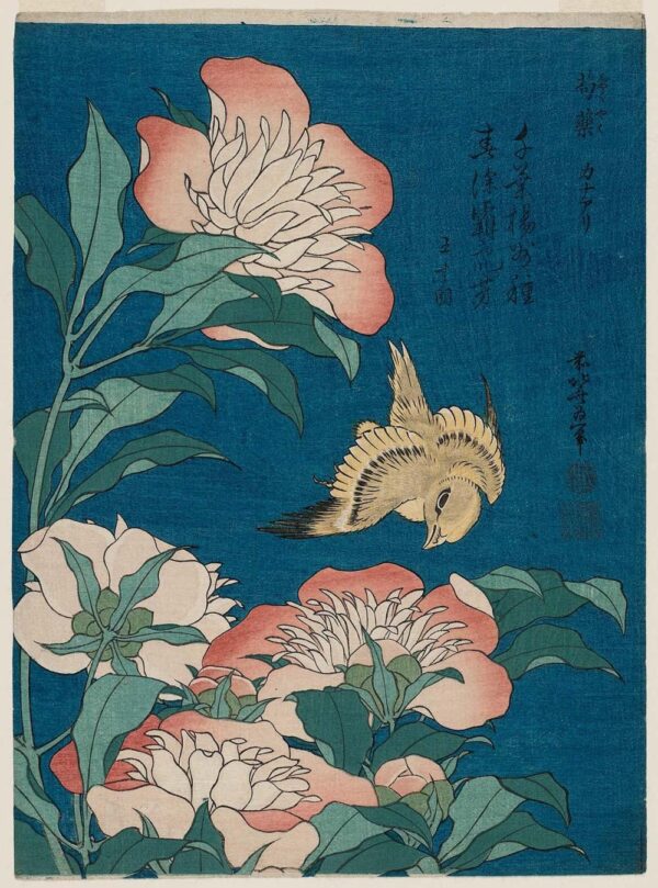 Hokusai peonías y canario (shakuyaku, kanaari), de una serie sin título conocida como pequeñas flores – Katsushika Hokusai Katsushika Hokusai 2024-11-21