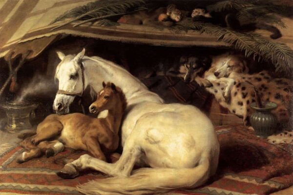 La tienda árabe – Edwin Landseer Edwin Landseer 2024-11-21