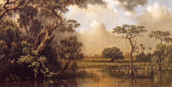 El gran pantano de Florida – Martin Johnson Heade Martin Johnson Heade 2024-11-21