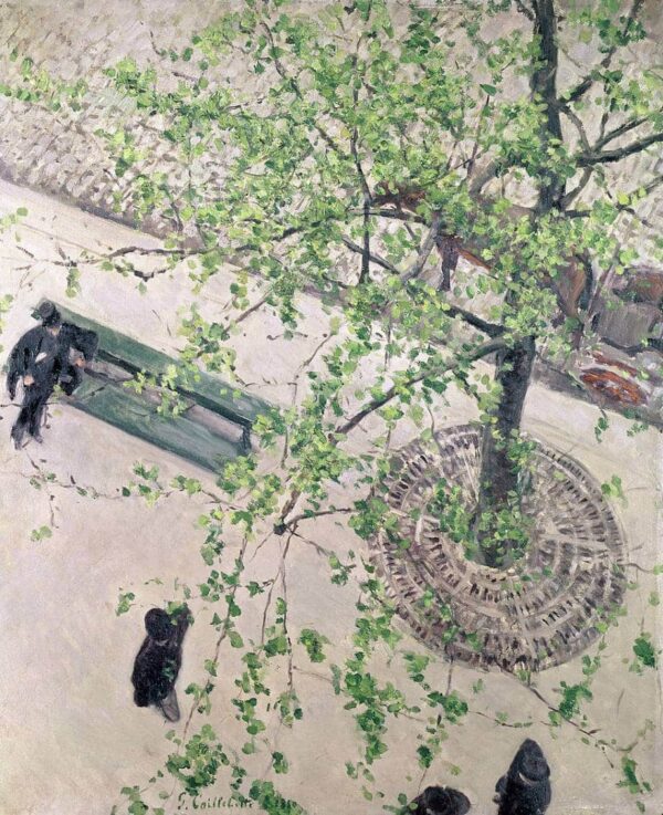 Gustave Caillebotte bulevar visto desde arriba – Caillebotte Gustave Caillebotte 2024-11-21