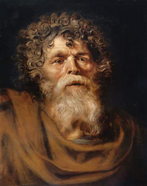 Cabeza de un anciano – Peter Paul Rubens Peter Paul Rubens 2024-09-19