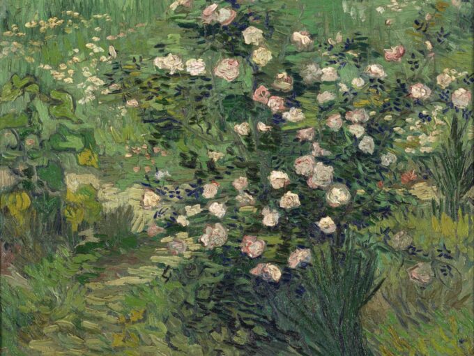 Las rosas – Van Gogh Vincent Van Gogh 2024-09-19