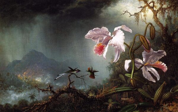 Dos colibríes en combate con dos orquídeas – Martin Johnson Heade Martin Johnson Heade 2024-11-21