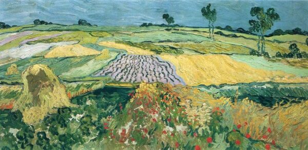 Campos en Auvers – Van Gogh Vincent Van Gogh 2024-11-21