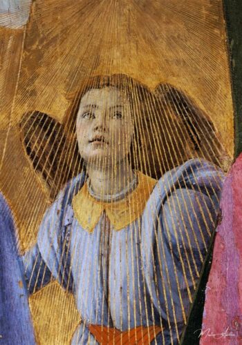 Ange, del « Coronación de la Virgen » – Sandro Botticelli Sandro Botticelli 2025-05-01