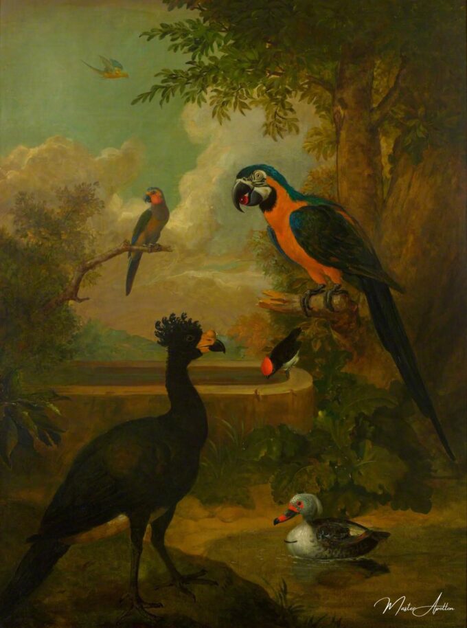 Aras y otros pájaros en un paisaje – Tobias Stranover Tobias Stranover 2025-05-05 2