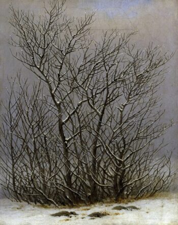 Árboles y arbustos bajo la nieve – Caspar David Friedrich Caspar David Friedrich 2025-05-10