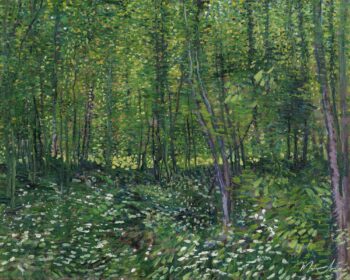 Árboles y matorrales – Van Gogh Vincent Van Gogh 2025-05-10
