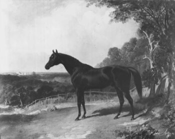 Bagdad – John Frederick Herring Snr John Frederick Herring Sr 2025-05-10