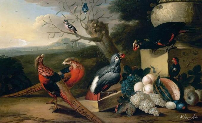 Marco de parque con aves – Tobias Stranover Tobias Stranover 2025-05-05