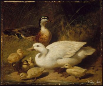 Patos y patitos – John Frederick Herring Snr John Frederick Herring Sr 2025-05-15 2
