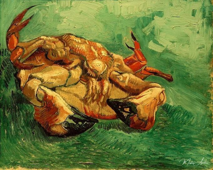 Cáncer acostado sobre la espalda – Van Gogh Vincent Van Gogh 2025-05-19