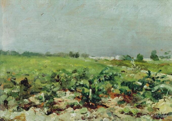 Celeyran, vista del viñedo – Toulouse Lautrec Henri de Toulouse-Lautrec 2025-05-14