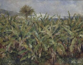 Campo de bananeros – Pierre-Auguste Renoir Pierre-Auguste Renoir 2025-04-17
