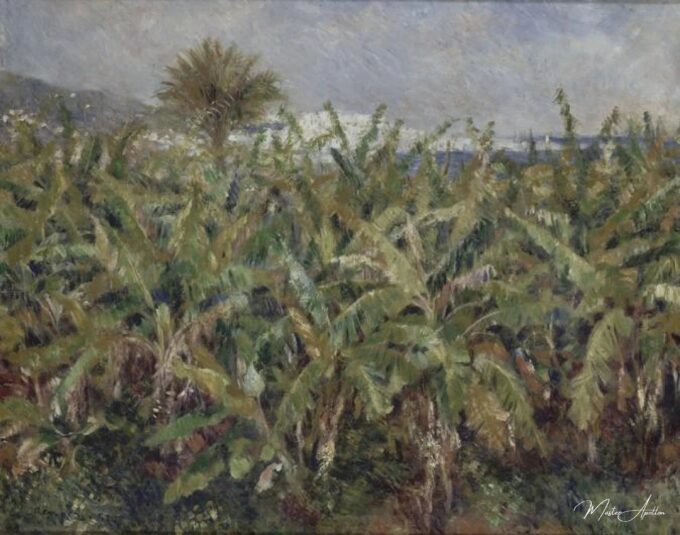 Campo de bananeros – Pierre-Auguste Renoir Pierre-Auguste Renoir 2025-05-14