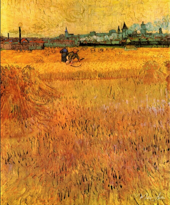 Campo de trigo en Arles – Van Gogh Vincent Van Gogh 2025-05-19