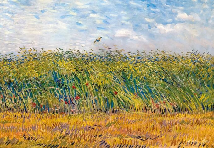Campo de trigo con alondras – Van Gogh Vincent Van Gogh 2025-05-19
