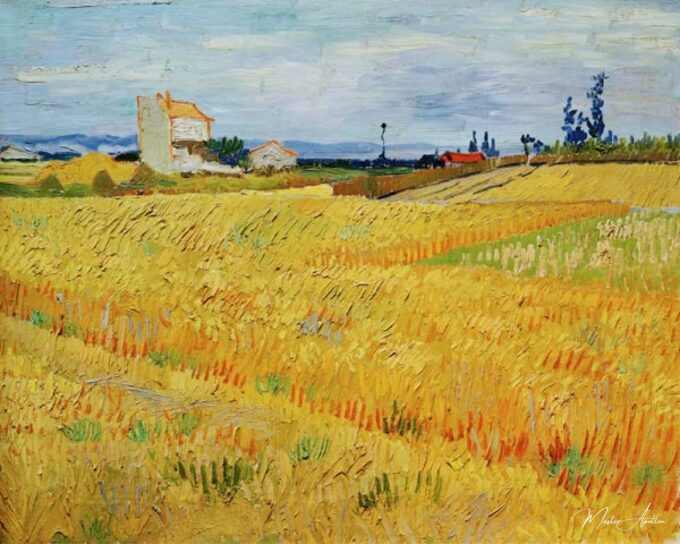 Campo de trigo – Van Gogh Vincent Van Gogh 2025-05-01 2
