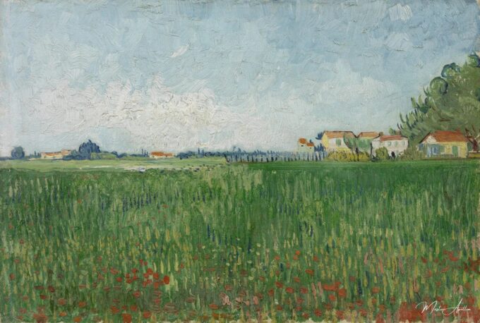 Campo de amapolas – Van Gogh Vincent Van Gogh 2025-05-14 2