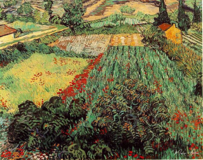 Campos de amapolas – Van Gogh Vincent Van Gogh 2025-05-19
