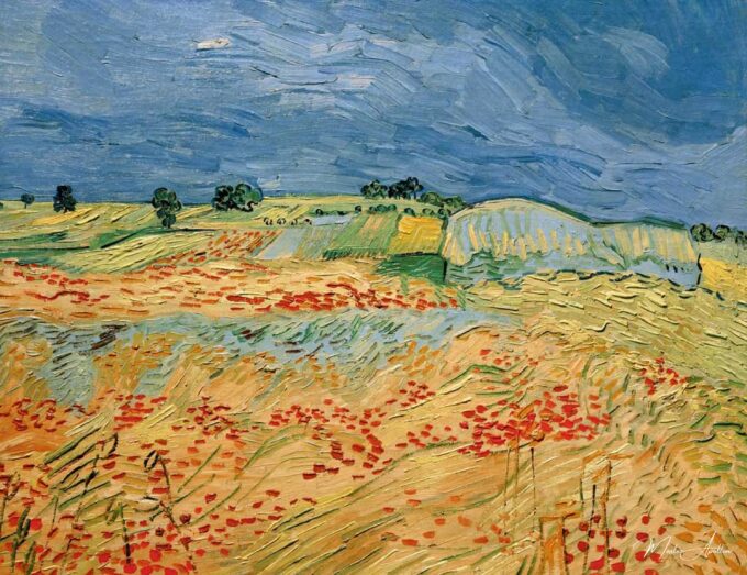 Campos de amapolas en flor – Van Gogh Vincent Van Gogh 2025-05-19