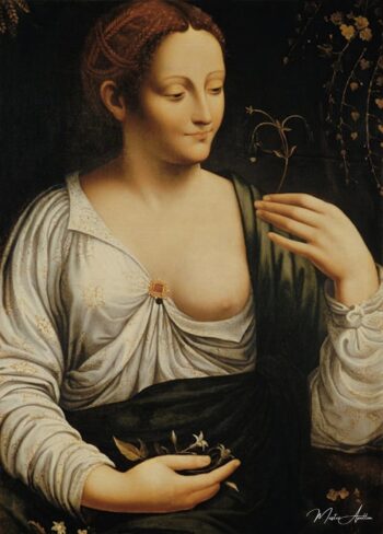 Colombina – Léonard de Vinci Leonardo da vinci 2025-05-13