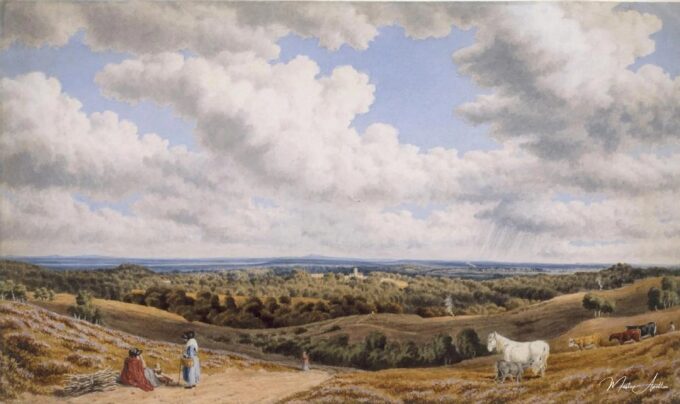 De lavanda cerca de Munstead en la Nueva Selva mirando hacia afuera – William Turner William Turner 2025-05-20