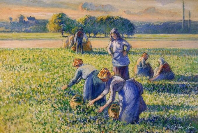 La Cosecha de los guisantes – Camille Pissarro Camille Pissarro 2025-05-08