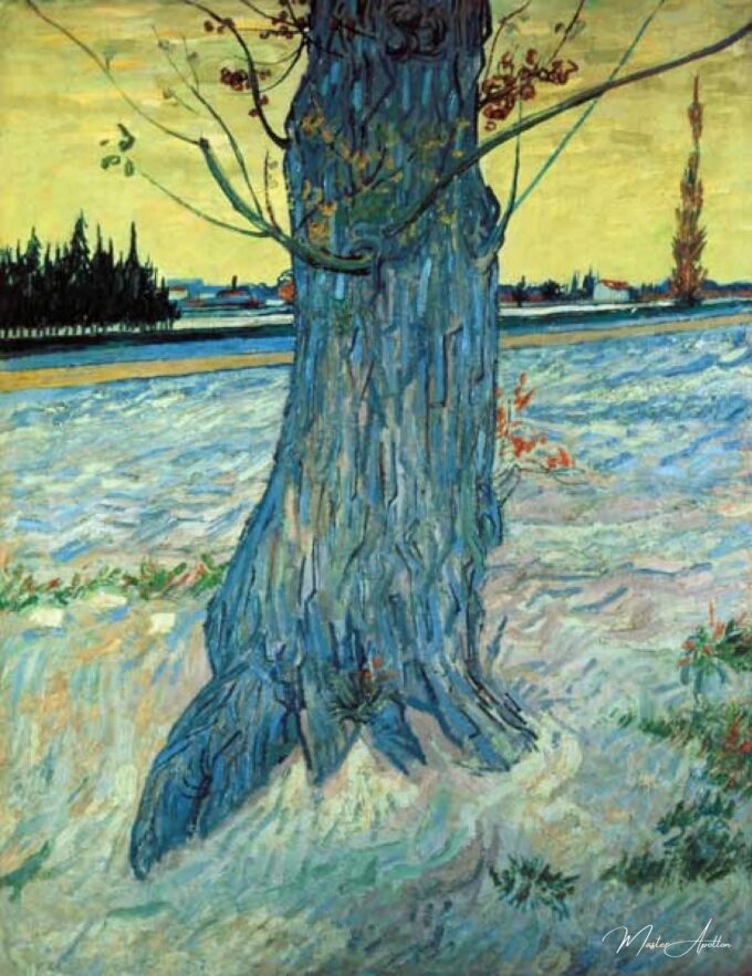 El árbol – Van Gogh Vincent Van Gogh 2025-05-03 2