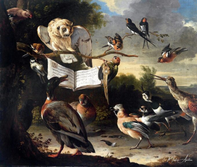 El concierto de los pájaros – Melchior d’Hondecoeter Melchior d'Hondecoeter 2025-04-17