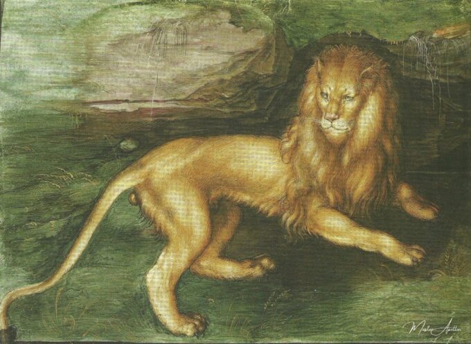 León – Albrecht Dürer Albrecht Dürer 2025-04-17