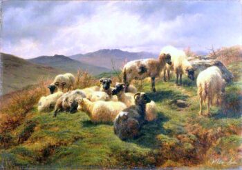 Ovejas en las Montañas – Rosa Bonheur Rosa Bonheur 2025-05-04