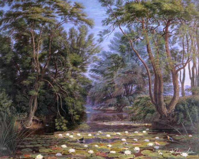 Nenúfares del río Cherwell – William Turner William Turner 2025-04-27 2