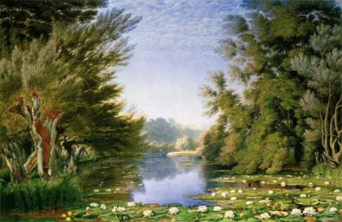 Nenúfares en la Cherwell – William Turner William Turner 2025-05-21