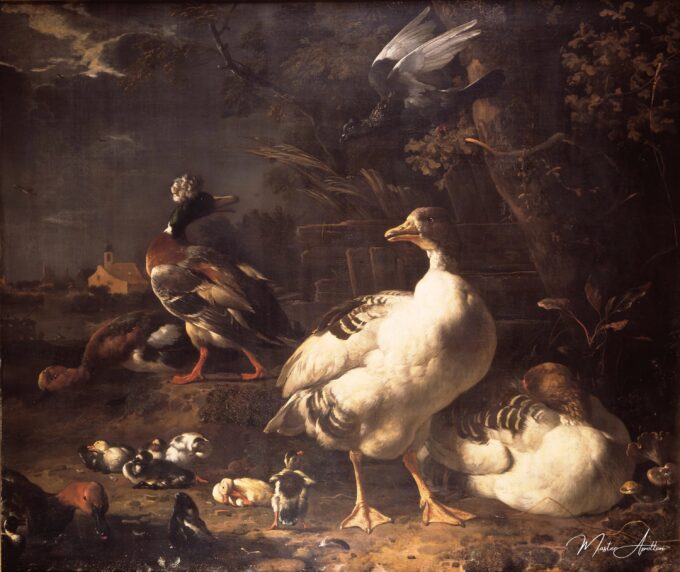 Oies y patos – Melchior d’Hondecoeter Melchior d'Hondecoeter 2025-04-17