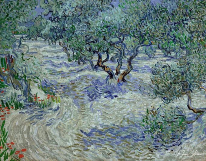 Olivenhain – Van Gogh Vincent Van Gogh 2025-05-19