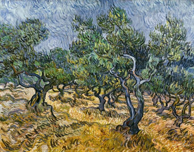 Olivier – Van Gogh Vincent Van Gogh 2025-05-19