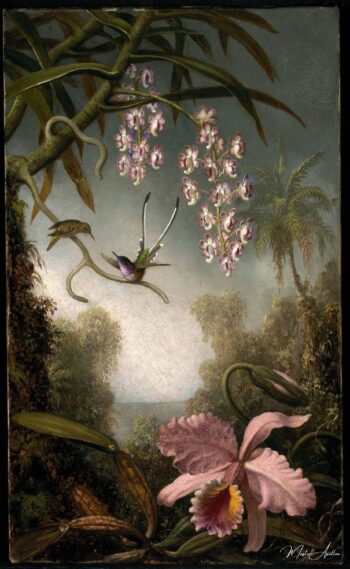 Orquídeas y Spray de Orquídeas con Colibrí – Martin Johnson Heade Martin Johnson Heade 2025-05-17