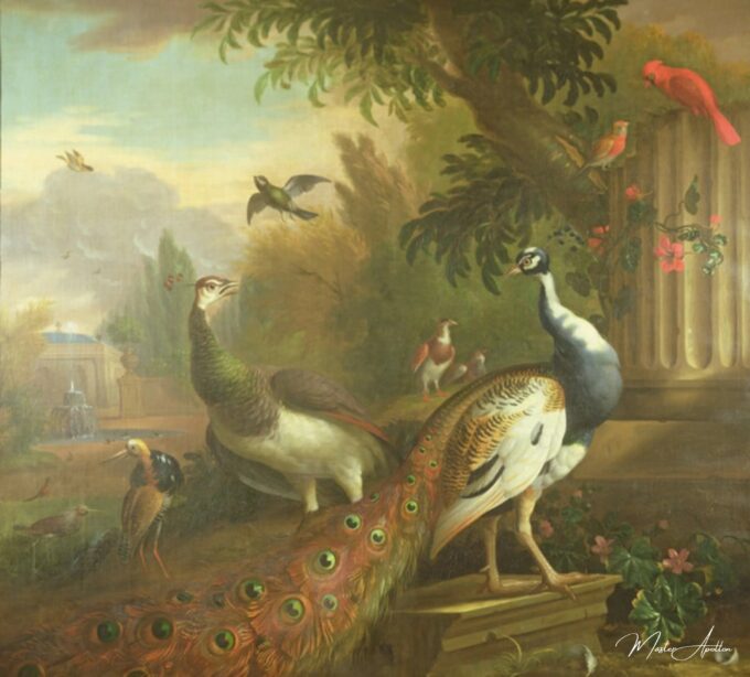 Pavo y gorrión con un cardenal rojo en un paisaje clásico – Tobias Stranover Tobias Stranover 2025-05-05