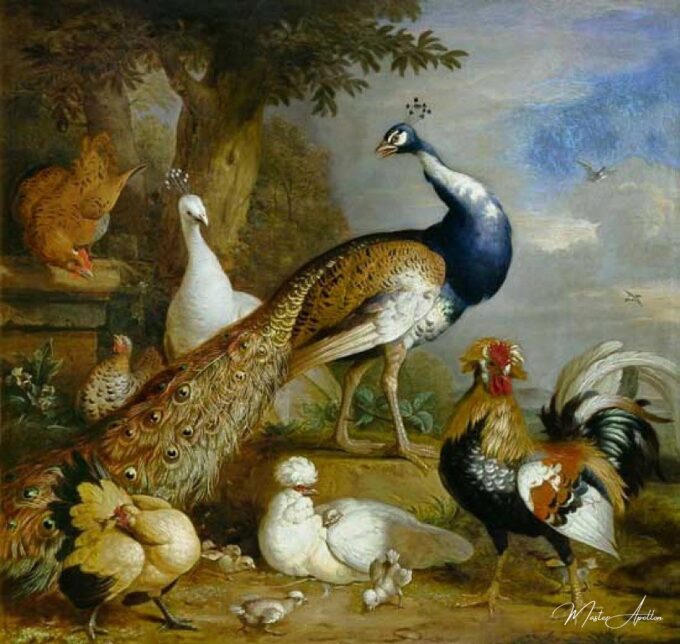 Pavo, pavo y aves de corral en un paisaje – Tobias Stranover Tobias Stranover 2025-05-05